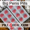 Big Penis Pills 19